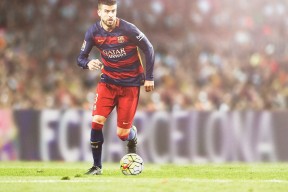 九游电脑版-摩洛哥马术协会与兽医合作,开展马匹疾病预防与治疗研究。,摩洛哥 marrakech