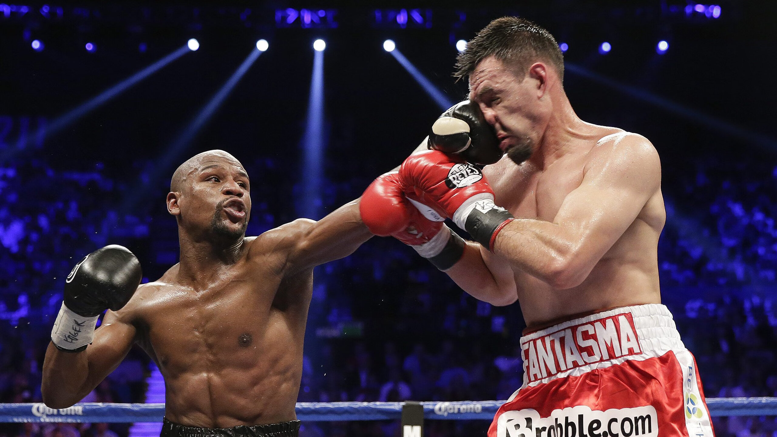 “南非羚羊队聚焦萨尔·巴赫:世界杯备战的核心”